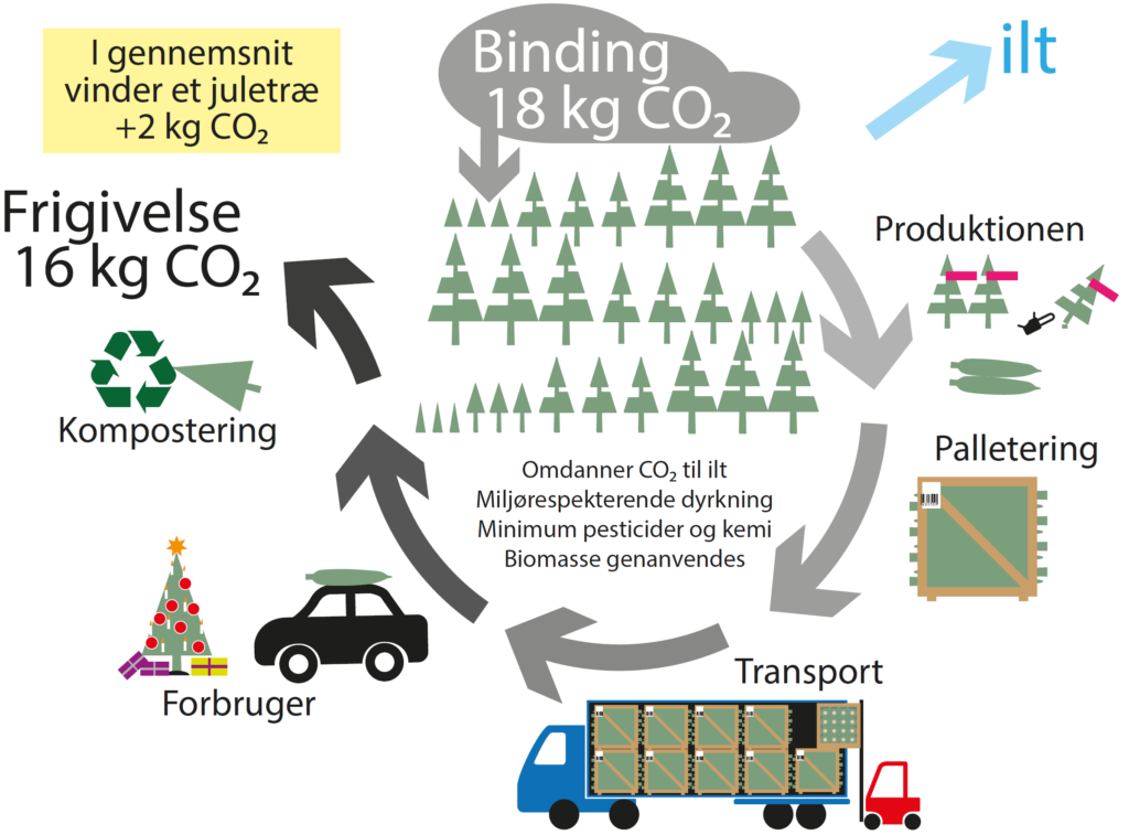 CO2 Binding i juletræer